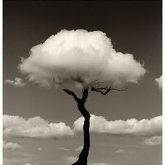 Poésie noir