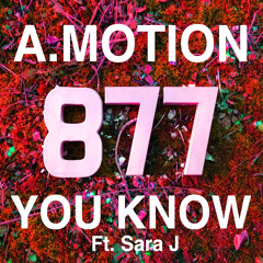 A.Motion - Locked