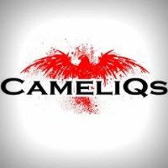 Better Of Alone Vs. Wiz Khalifa, ATB, Vaski - Work Hard Play Hard(CameliQs Blend)