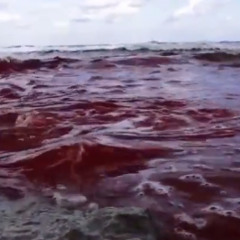 مين يقدم نفسه ليك