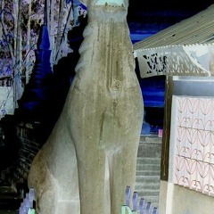 No Reflection (unmastered)