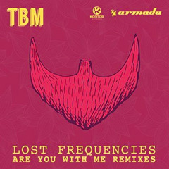 Lost Frequencies - Are You With Me (Gestört aber GeiL Remix)