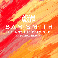 Sam Smith - I'm Not The Only One (Ameiro Kizomba)(Vocals by Nikki Hayes)
