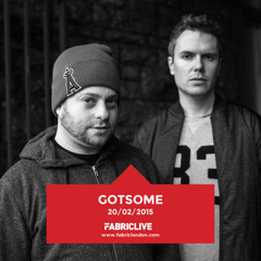 GotSome - FABRICLIVE Promo Mix