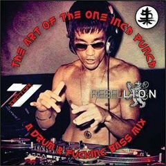 Sector 7 Presents: The Art of the One Inch Punch mixed by Rebellion