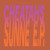 Artwork for Cheatahs - Controller (Bloom Mix)