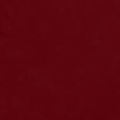 Notice Me (Original Demo)