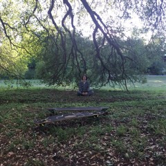 Strokes - Hard to Explain (cover with Sam Tormey) //Christmas version