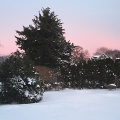 Little Gardens (prod. by Davíð Hólm Júlíusson)