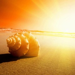 The Return Of The Sun