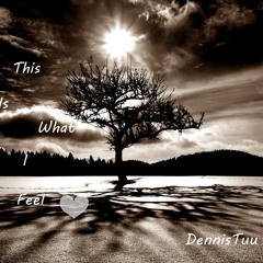 DennisTuu_Feel The Soul Podcast(Feb2015)