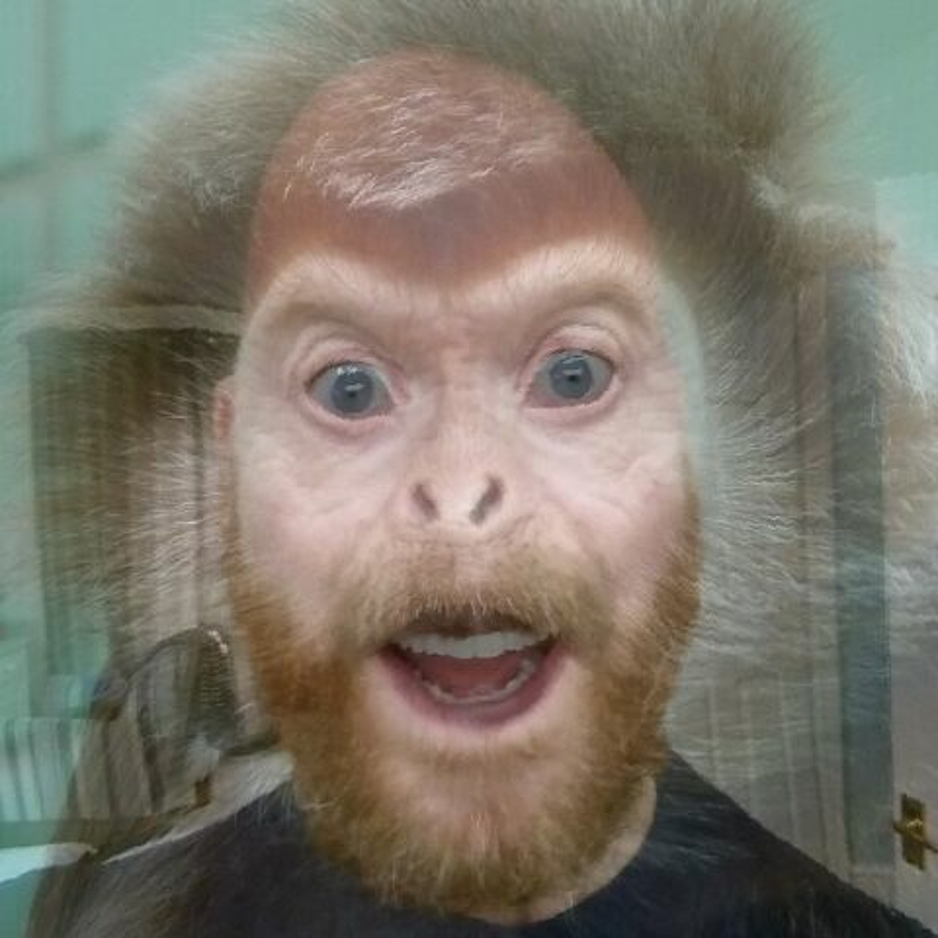 Stuart Bray