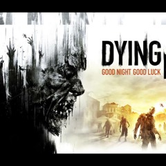 Dying Light - Poetry (based on an ingame top of building view)