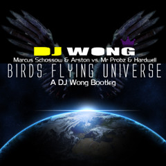 Birds Flying Universe (DJ Wong Bootleg) [Marcus Schossow & Arston Vs. Mr Probz & Hardwell]