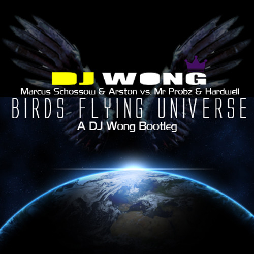 Birds Flying Universe (DJ Wong Bootleg) [Marcus Schossow & Arston Vs. Mr Probz & Hardwell]