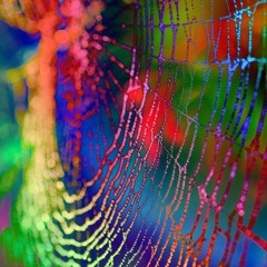 The Tyranny of the Trivial