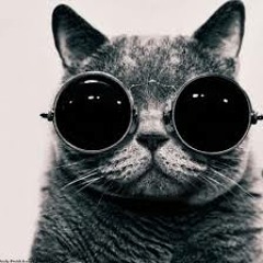 Paul Kalkbrenner - Dockyard B Seite