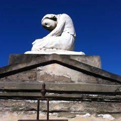 Polly Vaughn - 2 13 15, 8.47 PM