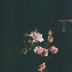 دَعْ الأيَّامَ تَفْعَلُ مَا تَشَاءُ - نَظْم الإمَامِ الشَافِعِيّ