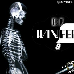 DJ WINFER B -  TREMENDOUS ((ORIGINAL MIX))