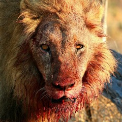 Neva Said - (G $tacks & Matty Matt)