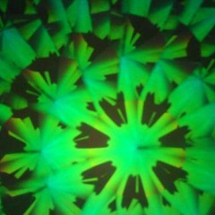 Escape (vigil Version)