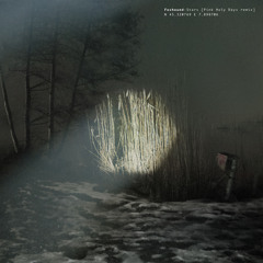 Stars (Pink Holy Days RMX)