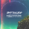 Descargar video: Phoniks/Raashan Ahmad - That Feeling (ft. Slim Kid 3)