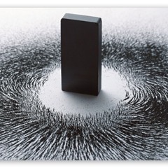 Reverse Polarity