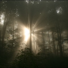 Keep The Streets Empty For Me