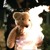 Artwork for The Bloodhound Gang - Fire Water Burn AR