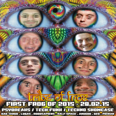 First Frog of 2015 ~ 28/02/2015 ~ Room 2 ~ Psybreaks, Tech Funk, Techno