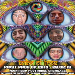 First Frog of 2015 ~ 28/02/2015 ~ Main Room ~ Psytrance