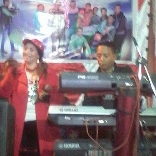 حنين -وقفة عزف محمد فوزى النوبى حفلة إينو فديو لايت2015