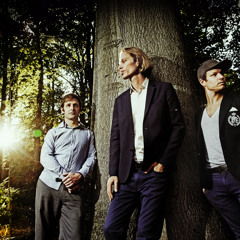 Phronesis · Urban Control