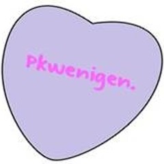 PkwenigenBL