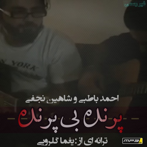 احمد باطبی و شاهین نجفی -پرنده بی پرنده