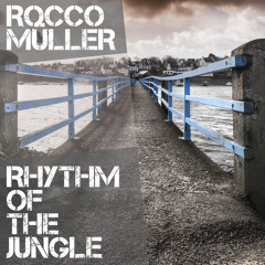Rocco Müller - Rhythm of the Jungle Pt. 2