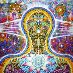 Shpongle - Divine Moments Of Truth (DMT REMIX)