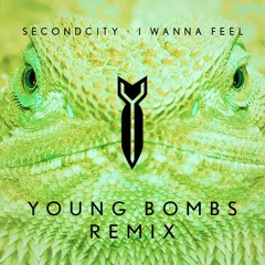 Secondcity - I Wanna Feel (Young Bombs Remix)