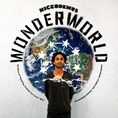 Nickodemus - WONDERWORLD: 10 Year Of Painting Outside The Lines Mix