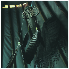 State Faults - Untitled