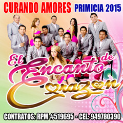 CURANDO AMORES