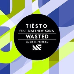 Tiesto Ft. Matthew Koma - Wasted (Adam N Mashup) FREE DL!