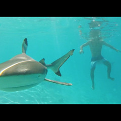 Tahiti Magic_Surf Clip Music
