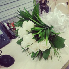 أحمد المصطفي - بل شوقي