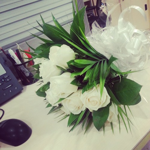 أحمد المصطفي - بل شوقي