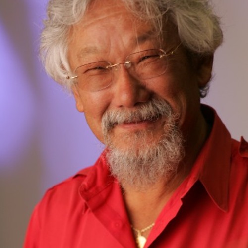 From The Nature Of Things Narrated By David Suzuki Ferrets By Big World Sound