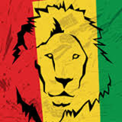 Make It Bun Dem (Hiroking Roots Reggae Remix)