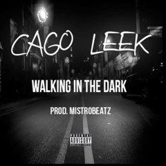 Cago Leek - Walkin in the dark (Prod. MistroBeatz)